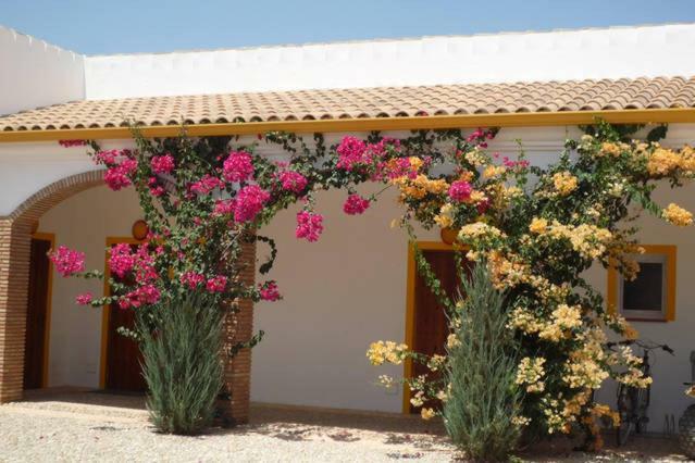 Finca Las Gateras ビジャマルティン エクステリア 写真